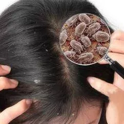 1626833142294201.png 微信圖片_20210721100538.png