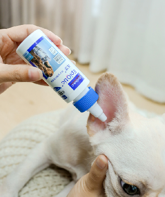 1646120689216253.png 89f9d8f8a9da5fe007e97ad1ed6a2bce.png