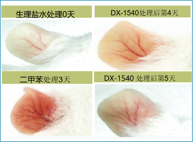 1646121584167642.png d8e5ee3614ae89e9e8a8fa101c164930.png