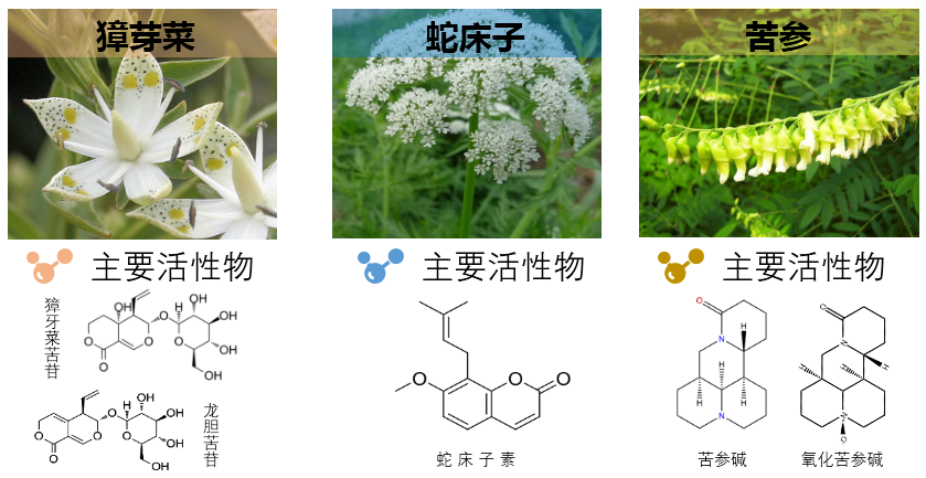 1660485566260811.png 微信圖片_20220814220229.png