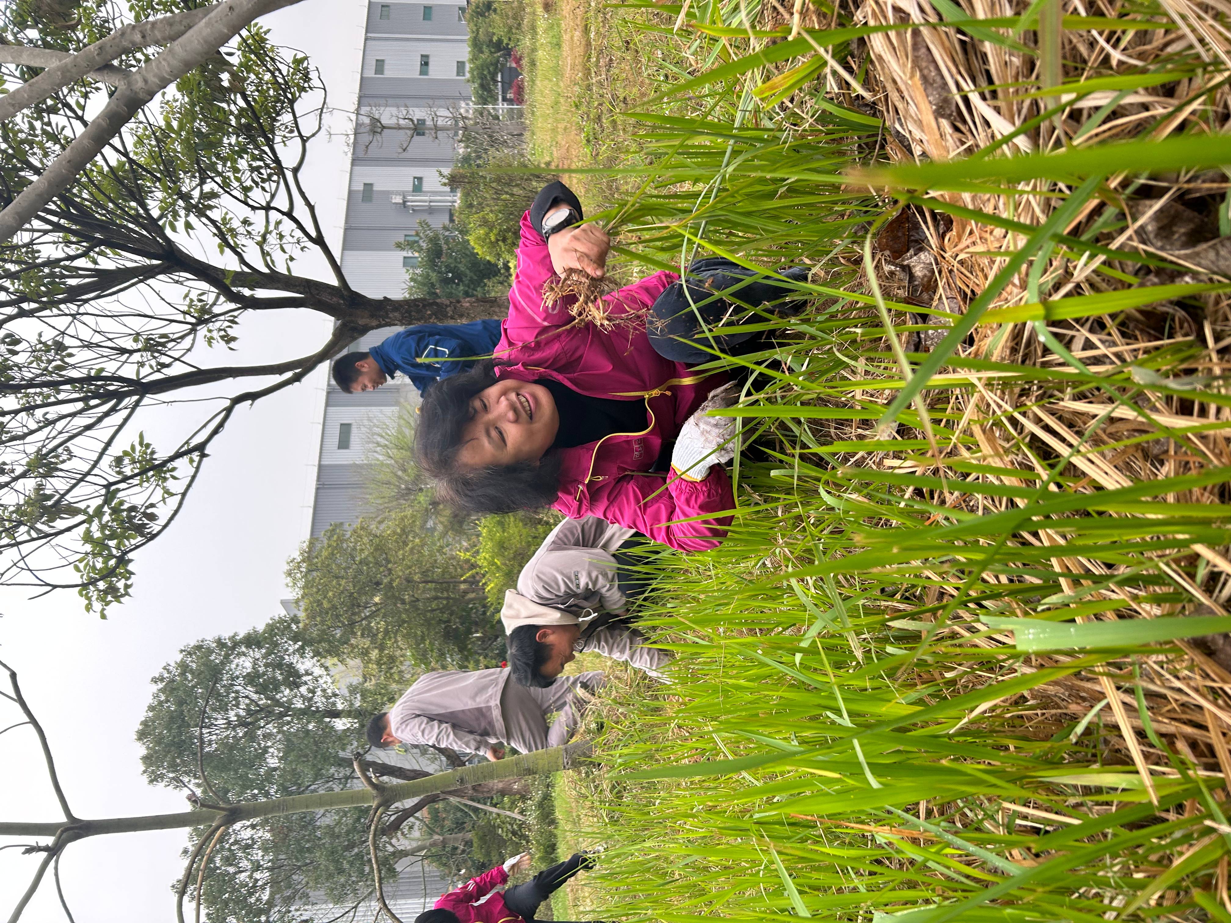 87d852f6bd9d0ddf4af79f7a309e2188.jpg 微信圖片_20240311100901(1).jpg