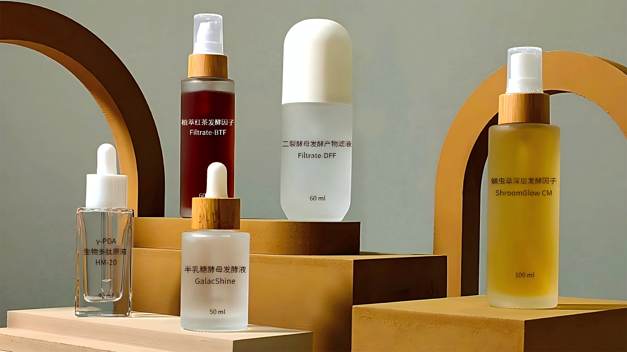 1751532042235842.jpg 微信圖片_20241210162001(1).jpg